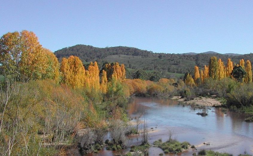 shoalhaven.jpg 600x369